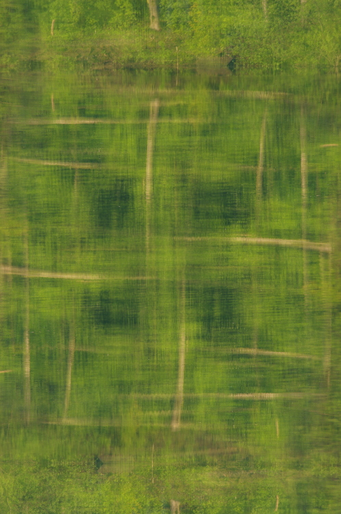 Vierfach (1)