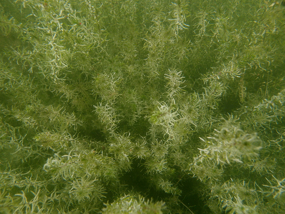 Seeboden 2