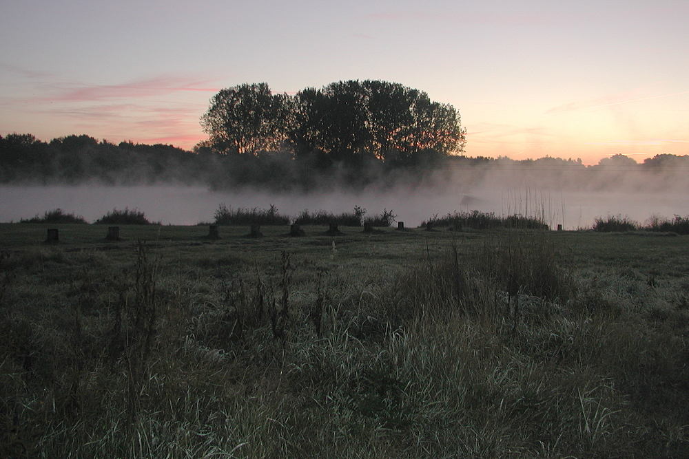 Tegge am Morgen