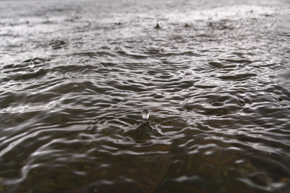 Regen