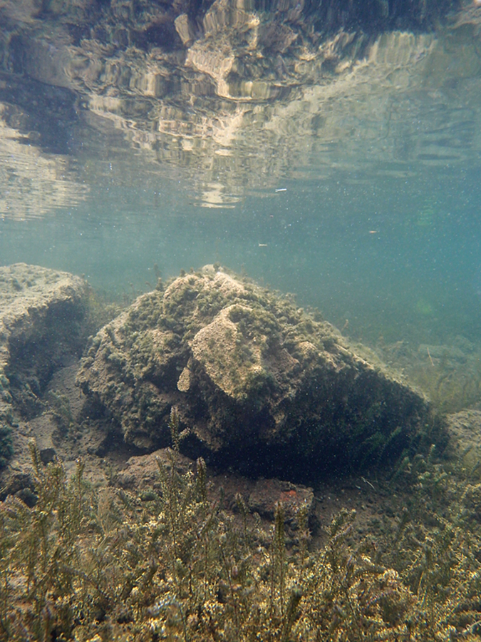 Spiegelung
