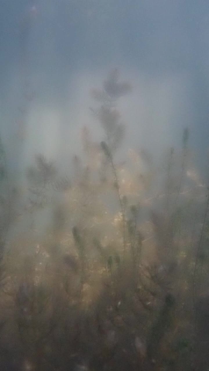 Magisches Licht