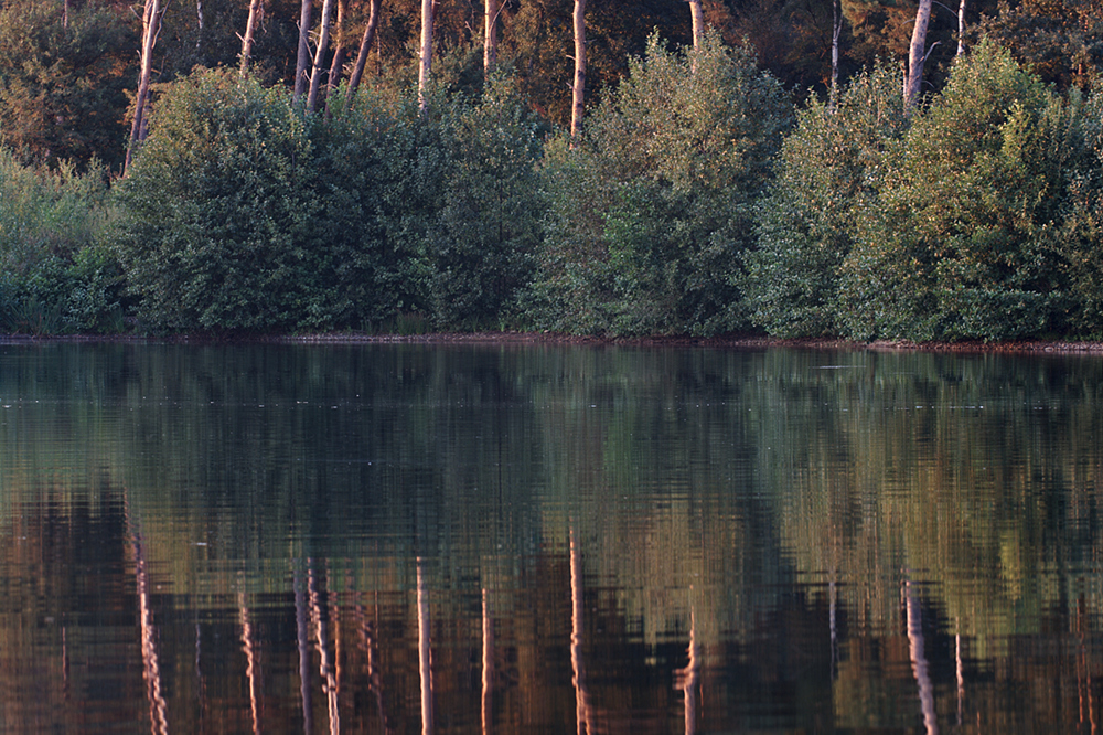 Haubachsee