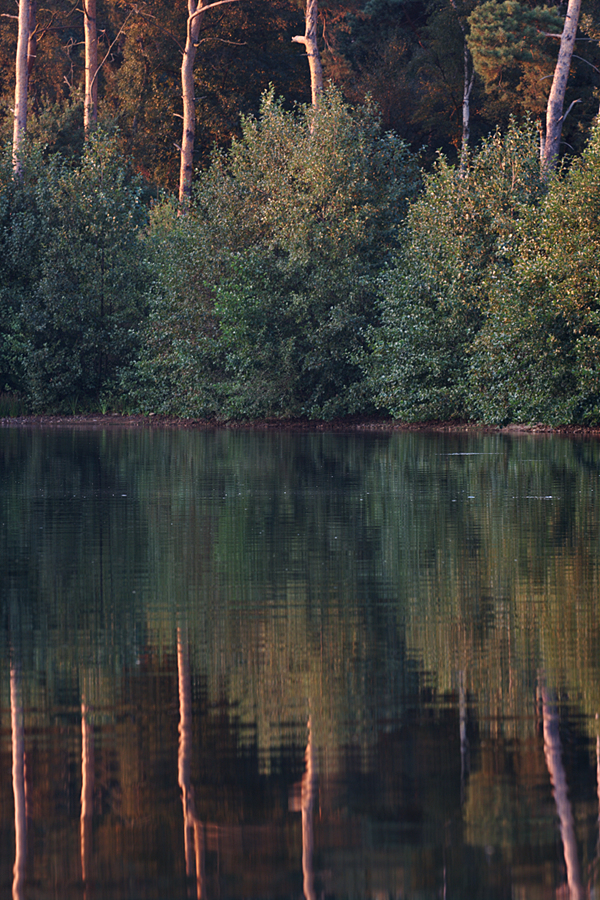 Haubachsee