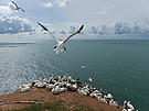 Am Vogelfelsen