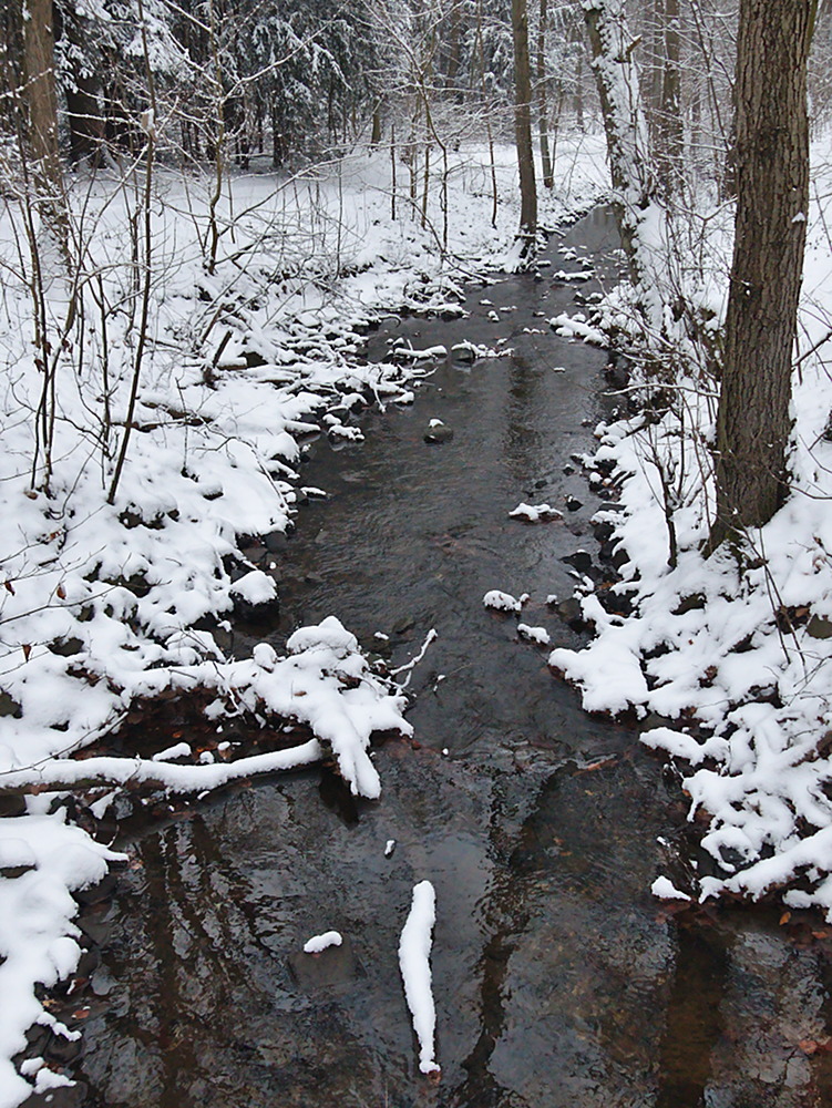 Wambach im Winter
