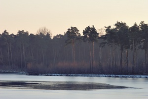 Haubachsee im Winter