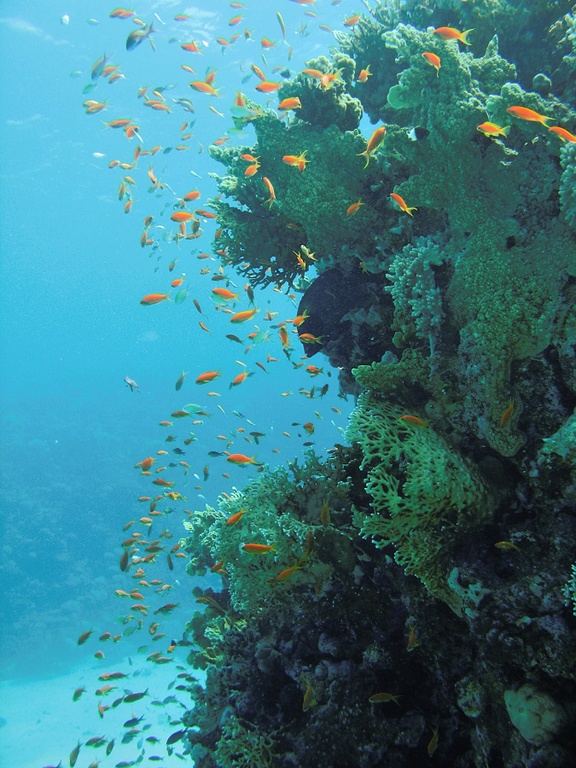 Seascape