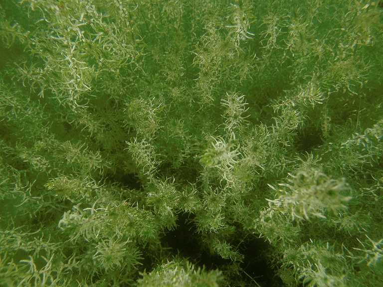 Seeboden 2