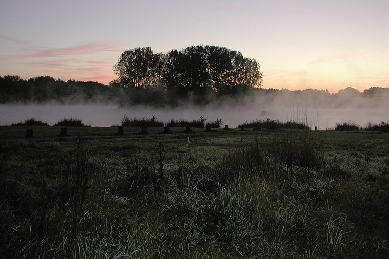 Tegge am Morgen