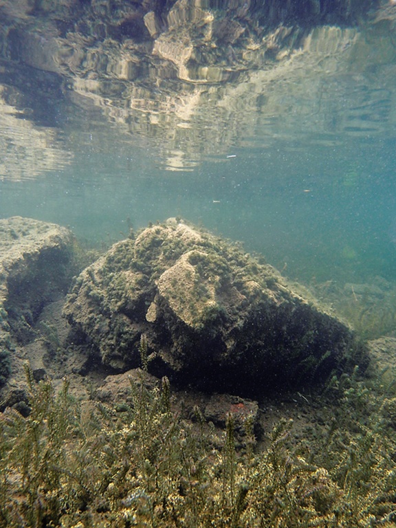 Spiegelung