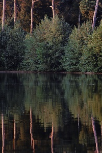 Haubachsee