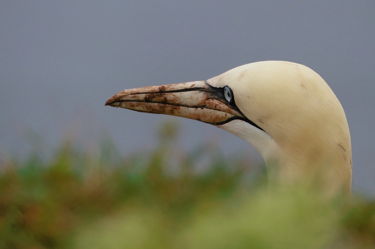 Dreckspatz