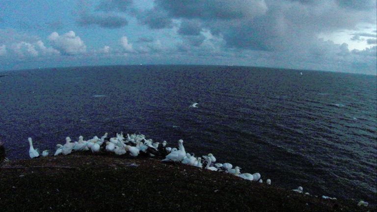 GoPro ISO 5018