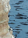 Ausblick auf das Felsenwatt