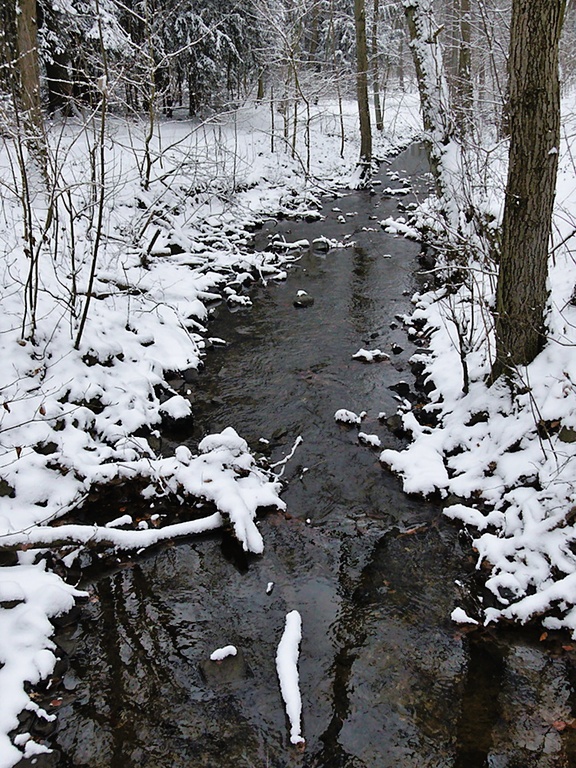 Wambach im Winter