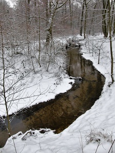 Wambach im Winter