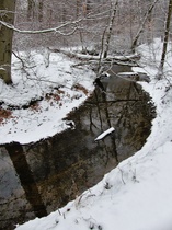 Wambach im Winter